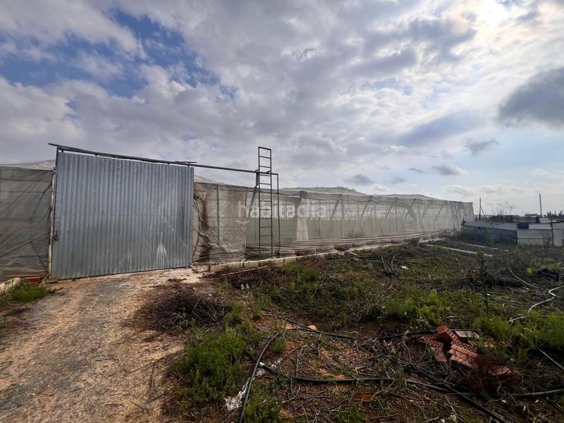 Foto 8e169512-28e6-4dc9-9623-f6479701c5ac. Casa in Centro Alcalá de Guadaira