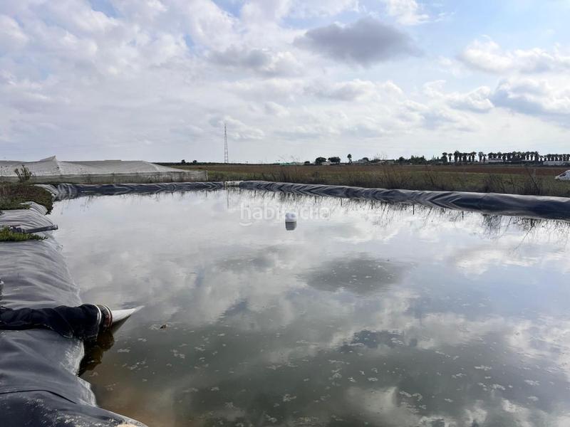 Foto c5c574a6-089f-49df-808a-9e079fb4cc29. Casa in Centro Alcalá de Guadaira