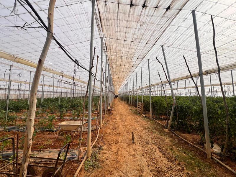 Foto c8249c12-be3f-4317-8a0a-ef9b63a627b2. Casa in Centro Alcalá de Guadaira