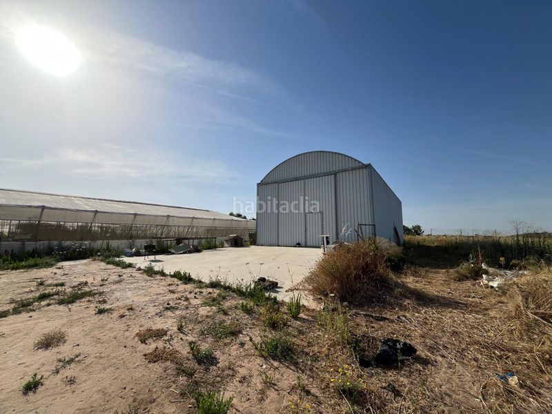 Foto b8bd9c28-158f-4116-b726-dbe00ae40f0f. Masia a Pedanías Norte Utrera