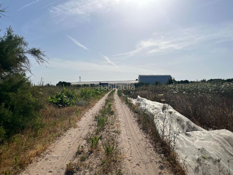 Foto f2edc3b6-76e2-4a00-bf4f-f3b38459ce69. Masia a Pedanías Norte Utrera