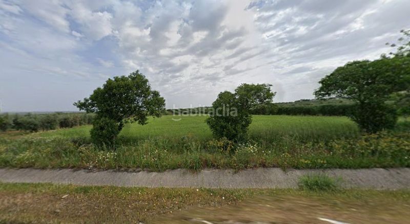 Foto cd1f47e5-6d16-407c-93f4-a1c7a245df17. Masia a Coronil (El)