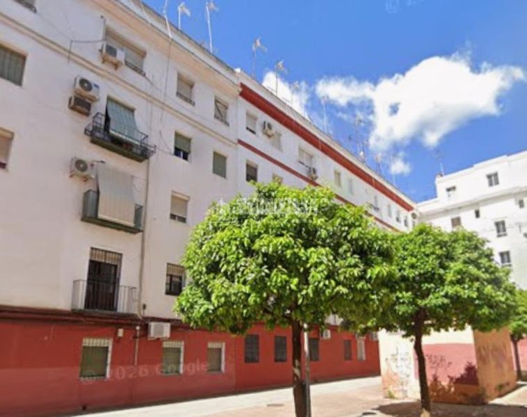 Foto fb610c2c-9b46-4615-9f0d-fc3c706961e3. Pis a El Tardón - El Carmen Sevilla