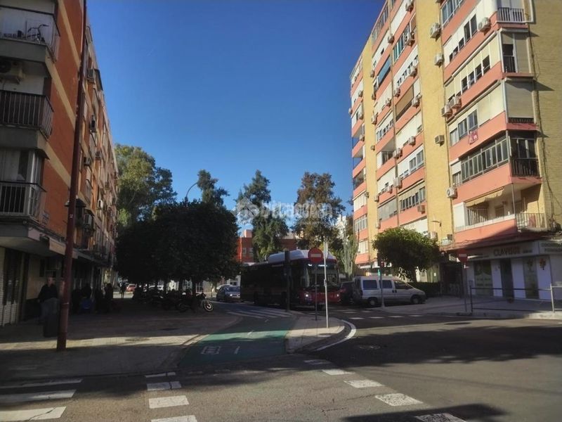 Foto a794e312-82a9-4217-86f3-36dfb5b79c5f. Pis a Triana Oeste Sevilla