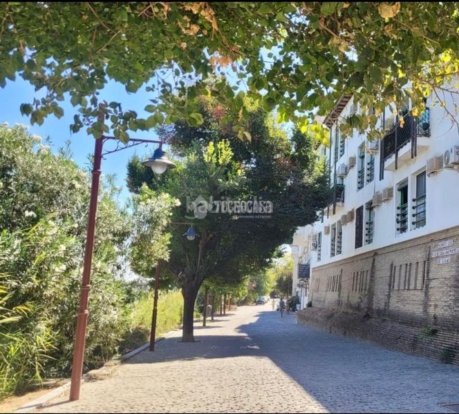 Foto 5c44bd3c-3a82-4184-8125-86054bd488df. Flat in Triana Casco Antiguo Sevilla