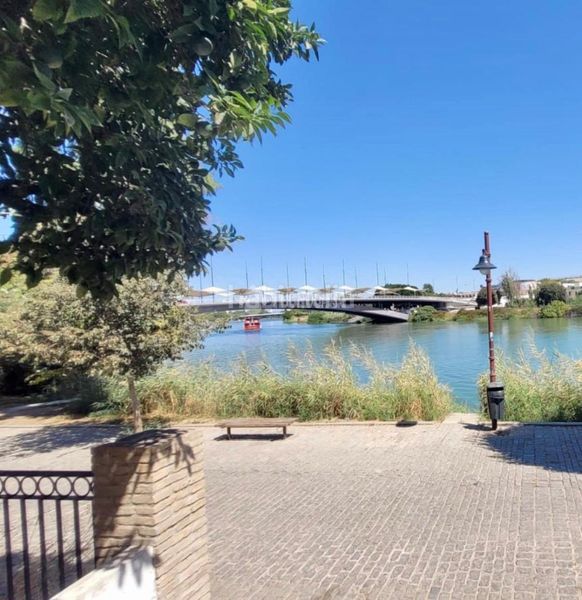 Foto 7b6f6b5e-169c-4212-aac2-6e39a6023251. Flat in Triana Casco Antiguo Sevilla