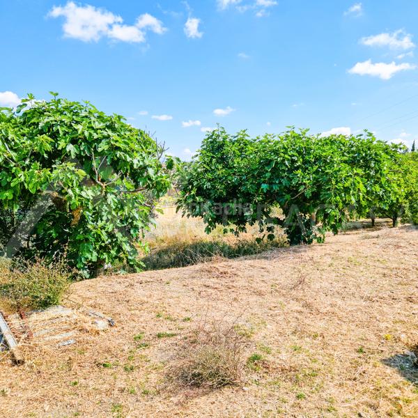 Foto c5266839-4d66-4d38-8054-93f0ad6249ad. Casa  en venta en alhaurin de la torre en El Romeral-Peñón de Zapata Alhaurín de la Torre