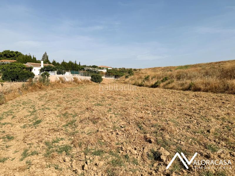 Foto 76662d80-2c47-410c-be4a-5879930b8fe6. Fondo rustico in diseminado poligono 30 221 in Cártama