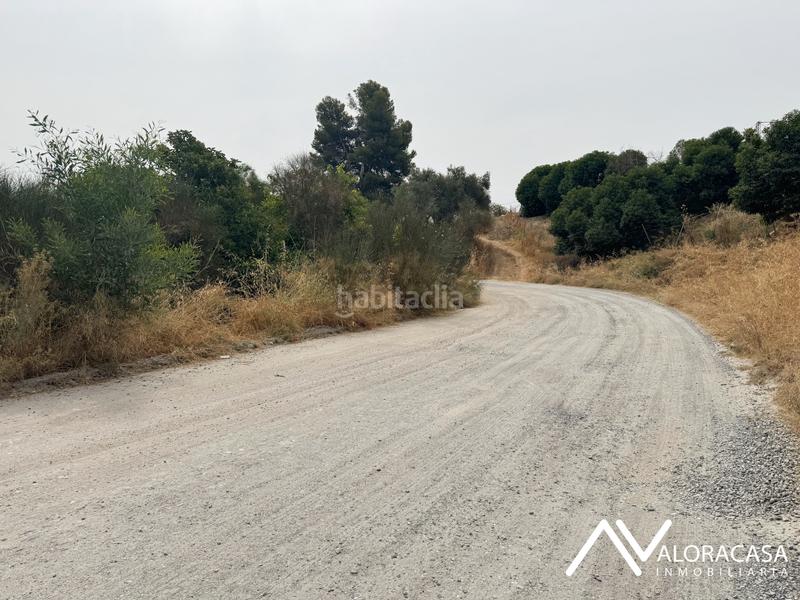 Foto b172ea0d-62ea-4bda-af14-de30283bb6b7. Fondo rustico in diseminado poligono 30 221 in Cártama