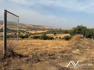 Finca rstica en N/a. Terreno rstico en con