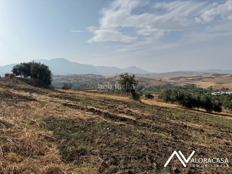 Foto 3857fdf5-df6e-452c-b164-4dc969597dfc. Finca rústica en n/a terreno rústico en Coín
