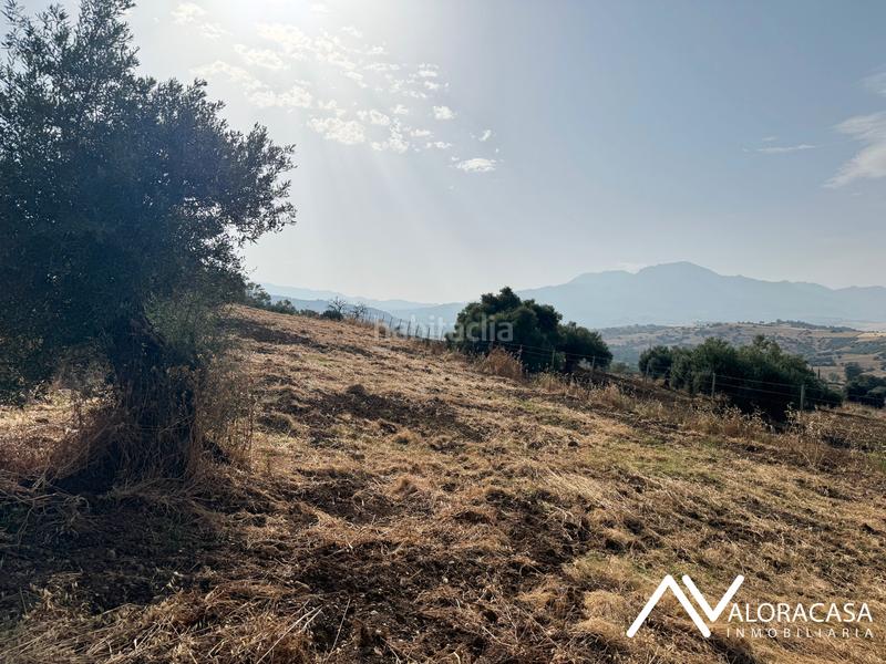 Foto 68a90906-1043-4751-abd4-b7ff00973e0b. Finca rústica en n/a terreno rústico en Coín