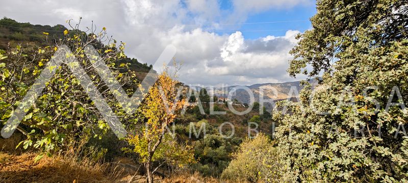 Foto f5f922a5-5d70-4aec-b62e-f1e8f82e9b44. Masia a alegría de la huerta- jardín de Málaga Málaga