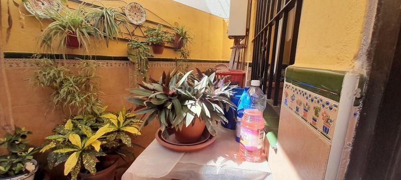 Foto 5b8f511a-2ab1-4f75-8b99-6c716a4e3770. Xalet a Parque Ayala - Jardín de la Abadía - Huelín Málaga