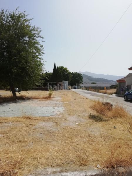 Foto b6c0ce4f-a94b-4ddd-b685-96bf7d559ec7. Finca rústica suelo en venta en Pegalajar