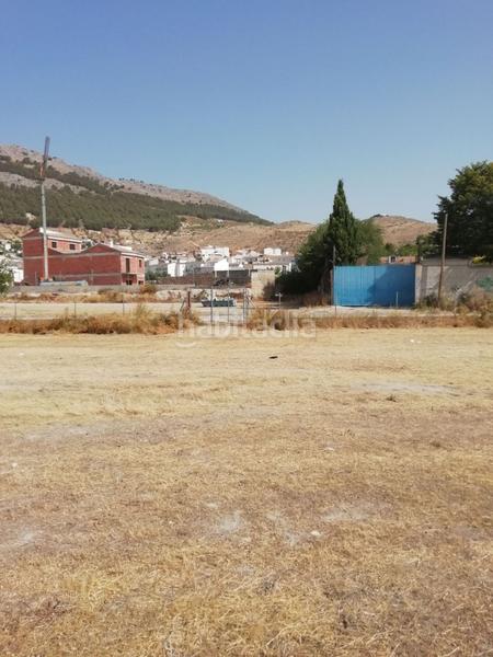 Foto bbe4f088-5c11-4d9a-ac14-2ef392a2063a. Finca rústica suelo en venta en Pegalajar