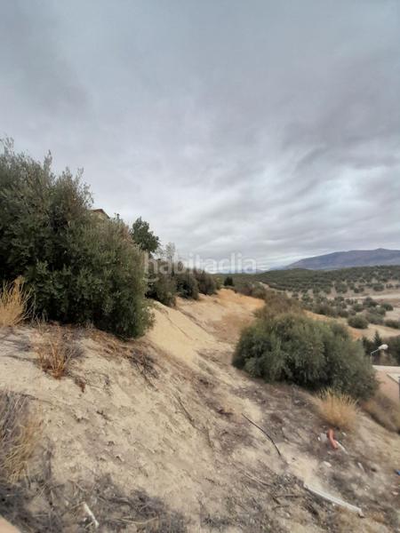 Foto 5226672c-8182-4772-a13f-e012a69ad8e7. Finca rústica suelo en venta en Puente Tablas - Puente Nuevo - Cerro Molina Jaén