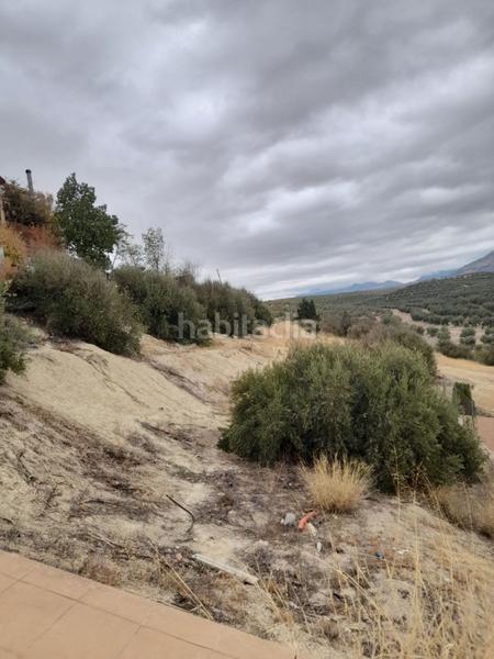 Foto a31d8152-1d4b-4179-be5f-0ba87dfb3d49. Finca rústica suelo en venta en Puente Tablas - Puente Nuevo - Cerro Molina Jaén