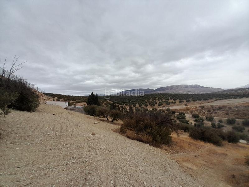 Foto b27dd64d-41c1-4c0b-a5b4-89de06443eca. Finca rústica suelo en venta en Puente Tablas - Puente Nuevo - Cerro Molina Jaén
