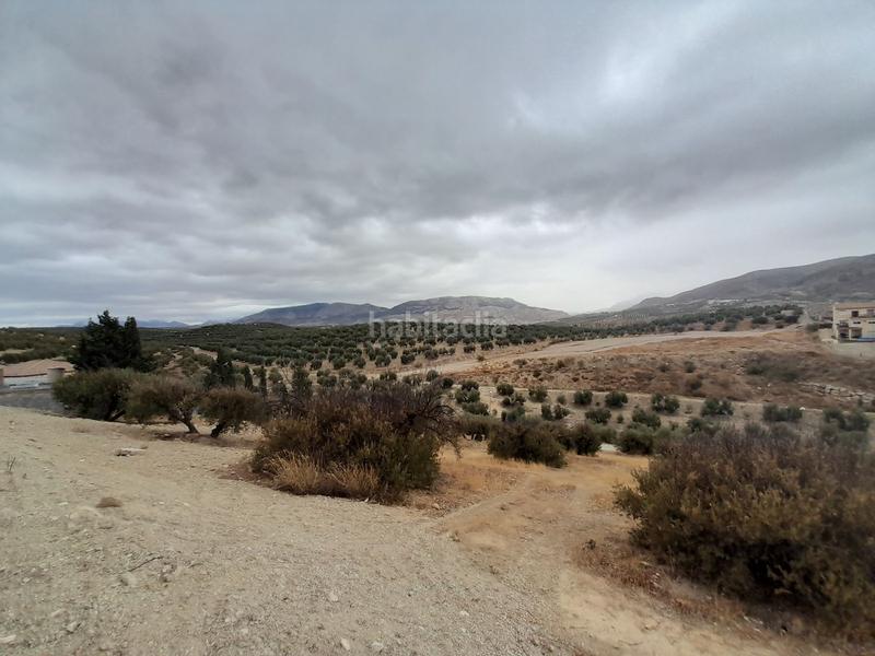 Foto d82bf95a-c9a4-4626-82f8-3f0e4714dcca. Finca rústica suelo en venta en Puente Tablas - Puente Nuevo - Cerro Molina Jaén
