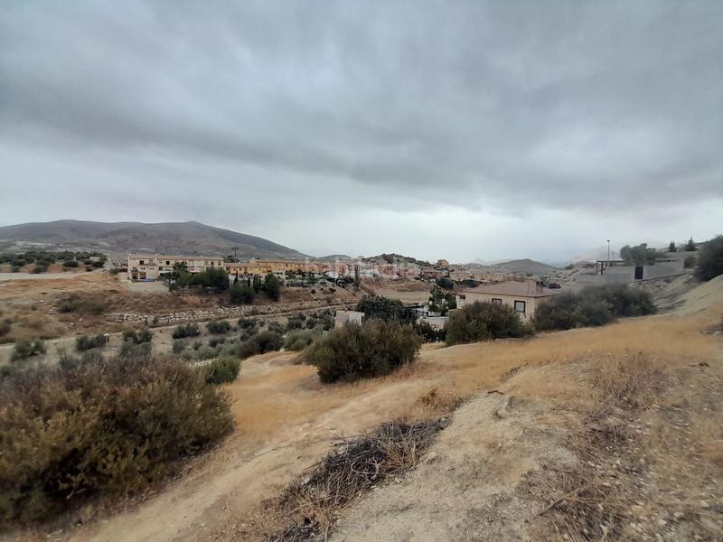 Foto e0b34771-d964-4ee9-ba96-4a84babca8fc. Finca rústica suelo en venta en Puente Tablas - Puente Nuevo - Cerro Molina Jaén