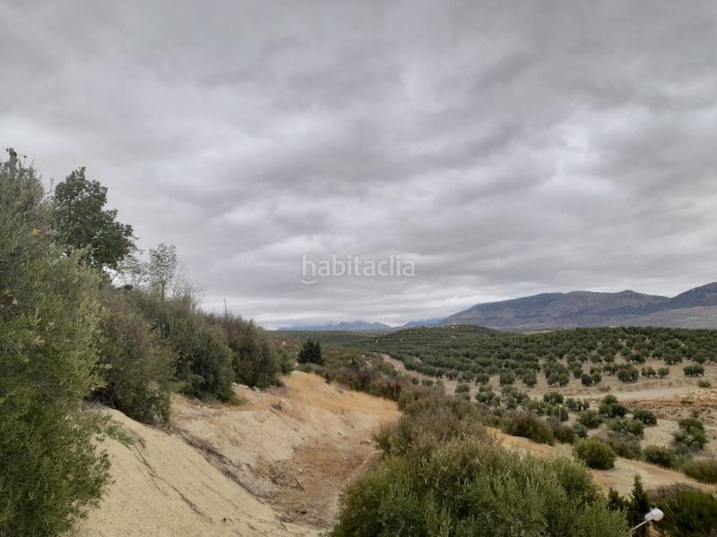 Foto fd15e6b0-3417-4418-b8d5-01eaeeab34ed. Finca rústica suelo en venta en Puente Tablas - Puente Nuevo - Cerro Molina Jaén