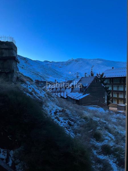 Foto f5d59019-a375-4049-9980-49227e943da8. Pis a Zona media Sierra Nevada