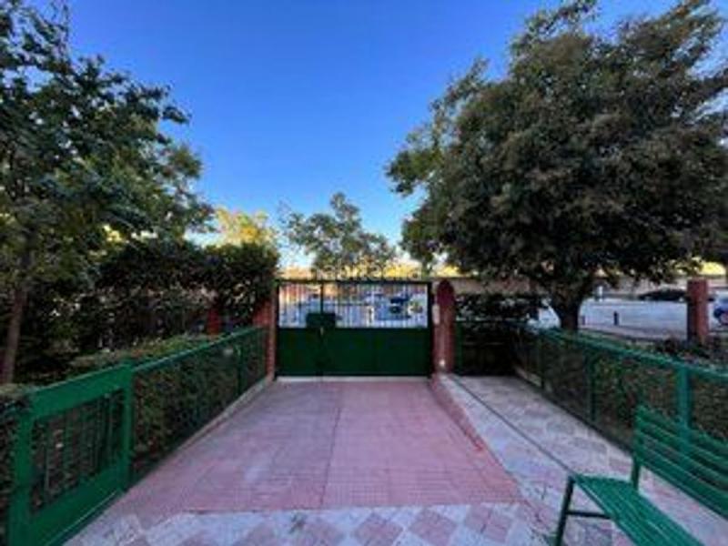 Foto 2ef993a1-90d0-4700-862e-748c1f759a89. Pis a Cartuja Granada