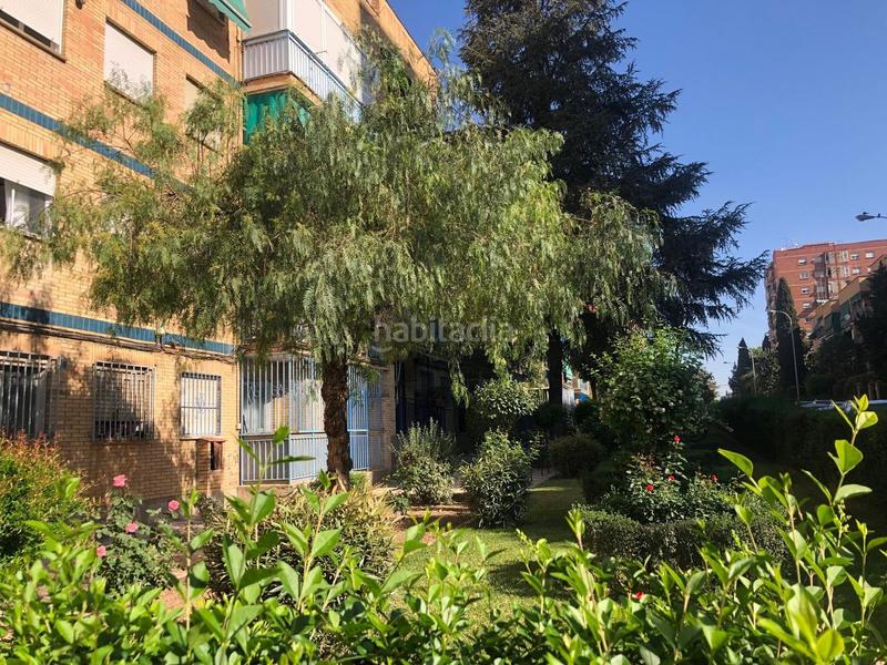 Foto a1a3a084-d7d3-42e3-af37-8944607db8ca. Pis a Cartuja Granada