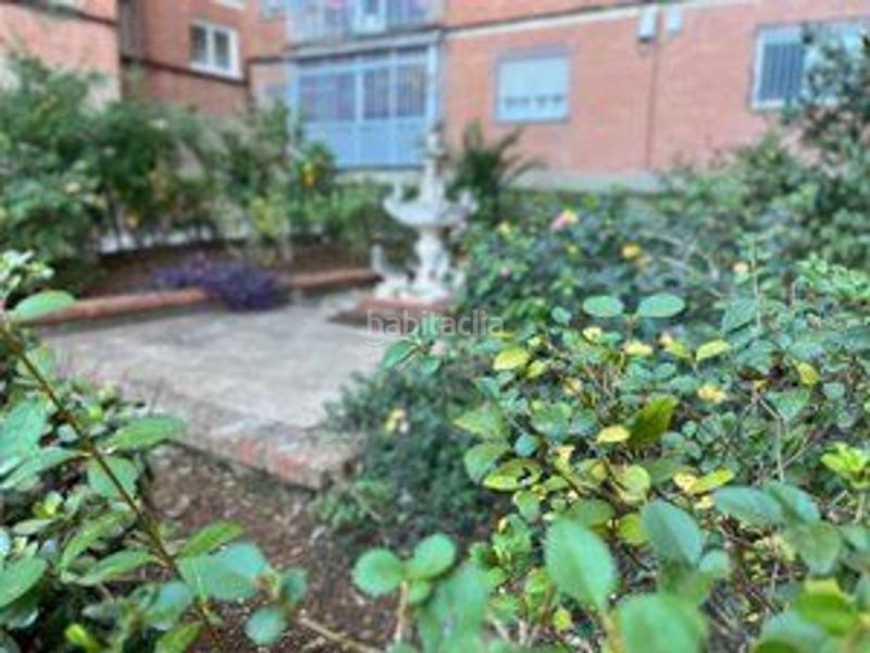 Foto e2b4a103-5670-4c35-a3ab-a6f266e1e39f. Pis a Cartuja Granada