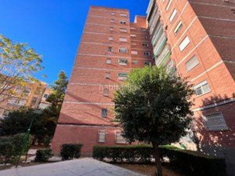 Foto e5fca269-c4f9-4d67-b346-4aac3862cdb0. Pis a Cartuja Granada