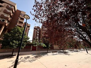 Pis a Calle Torre Quebrada 6