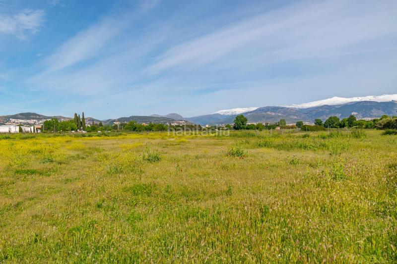 Foto 08521767-c109-4fa3-a856-12245b20c503. Terreno residencial finca rústica en Camino de Ronda Granada