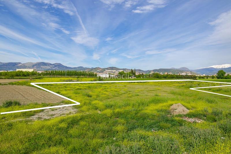 Foto 7620f090-fe89-412b-a58a-3a847adbfa4f. Terreno residencial finca rústica en Camino de Ronda Granada