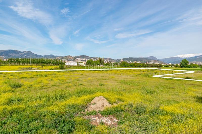 Foto b2c72129-13db-4b67-b105-f2010c95db31. Terreno residencial finca rústica en Camino de Ronda Granada