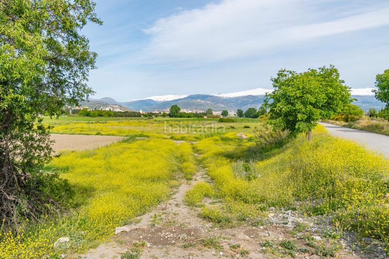 Foto c95fef24-f4c5-4cd9-8f7d-eee5eeacfeda. Terreno residencial finca rústica en Camino de Ronda Granada