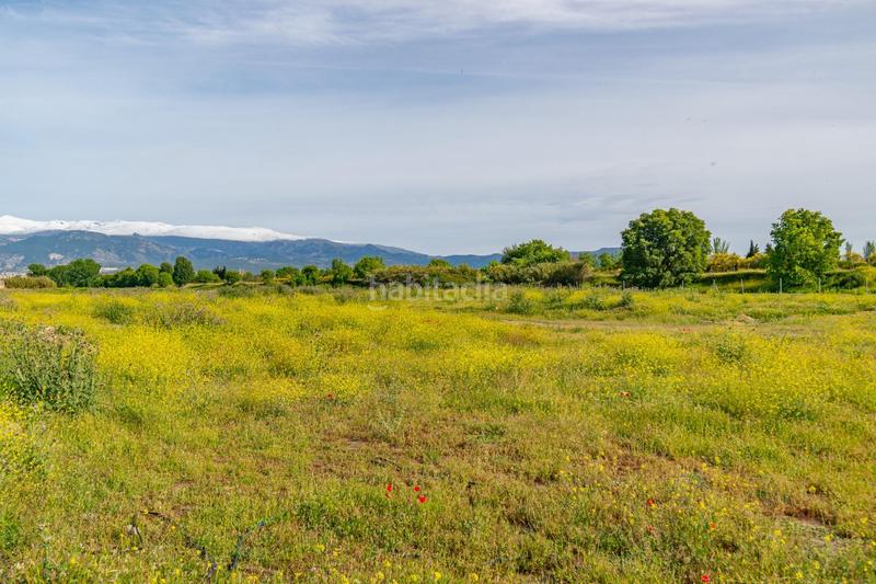 Foto dc826414-5717-43f3-90af-1c77b512a6ad. Terreno residencial finca rústica en Camino de Ronda Granada