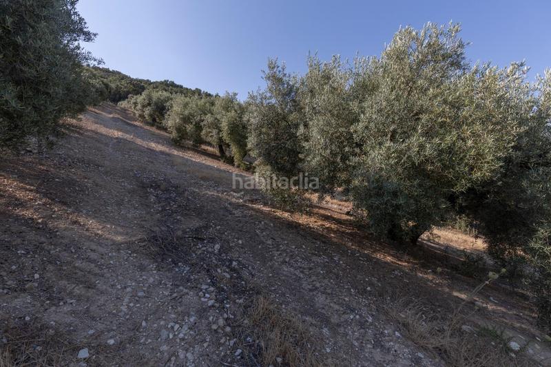 Foto 281f0002-32c3-4702-8cac-468b7e5c4f59. Propriété dans Montefrío