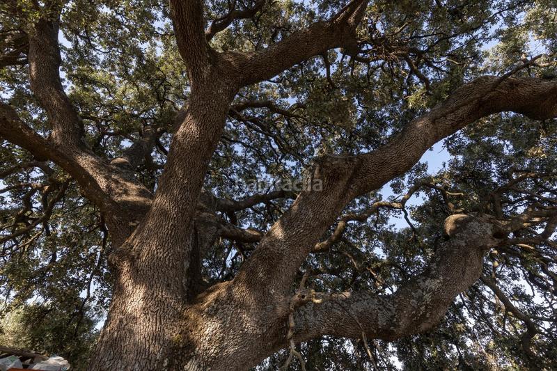 Foto 29c5d7a4-53e1-4d07-be3c-00f5b967b0ce. Propriété dans Montefrío