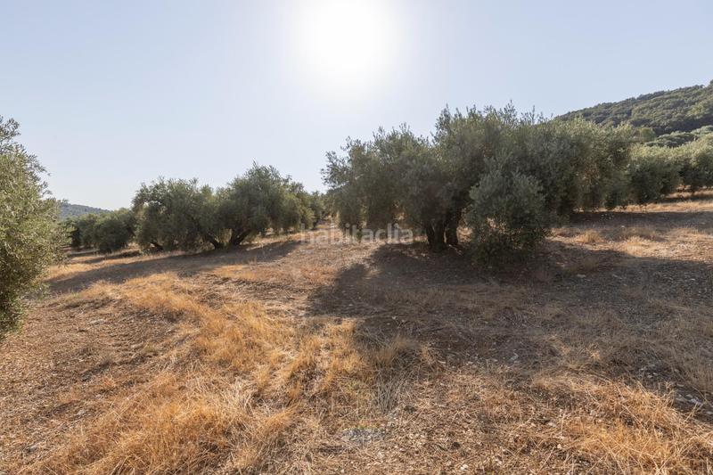 Foto 38372852-9a80-4eb0-ba6d-7e962e62ff23. Propriété dans Montefrío