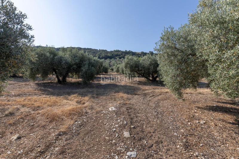 Foto 42beacae-0458-4108-8582-d1d75052a882. Propriété dans Montefrío