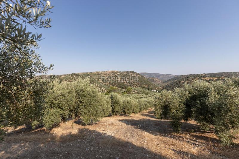 Foto 515c54ca-0911-45e9-9f96-49e5ca306343. Propriété dans Montefrío