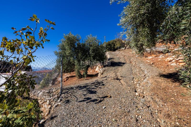 Foto 06b7828b-f688-49f8-9d38-8105458b75de. Casale in Cogollos de la Vega