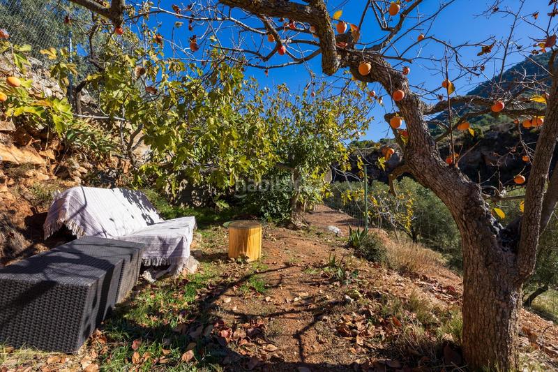 Foto c3735349-eebd-45c5-9be0-aff521031d6f. Casale in Cogollos de la Vega