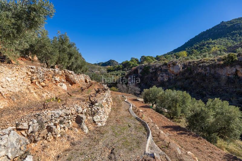 Foto d01db2f4-33f9-4c3c-a2c2-ec6bb3644999. Casale in Cogollos de la Vega