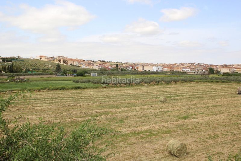 Foto 9598c828-f291-41d5-b73e-a40289f39d9a. Finca rústica a Residencial Triana - Barrio Alto Gabias (Las)