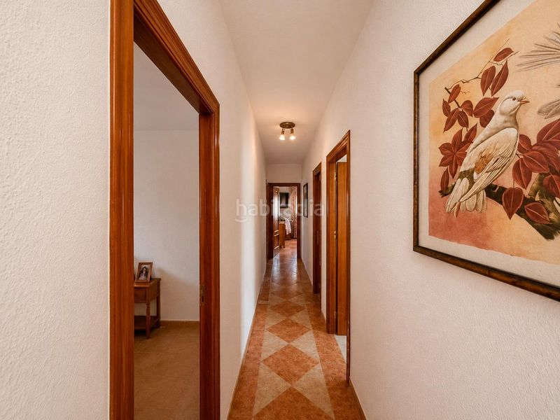 Foto a22f49a6-8810-4709-86e7-13eed7e7ee6f. Edifici a Padul