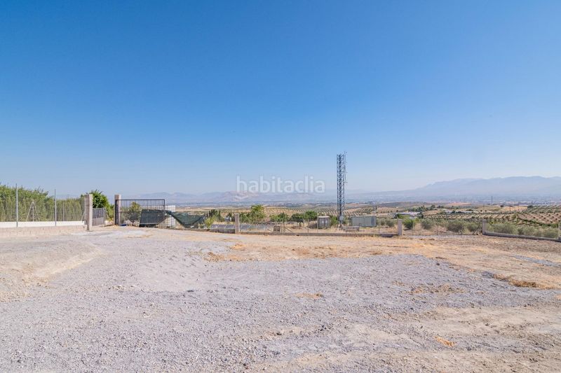 Foto e6dc4c8d-05ff-4886-9de4-62b8fc8dbf30. Finca rústica a San Francisco - El Chorrillo Gabias (Las)