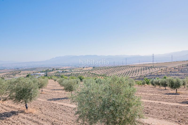 Foto f68ae188-7a06-4f3b-81c8-ef86b3b2472c. Finca rústica a San Francisco - El Chorrillo Gabias (Las)