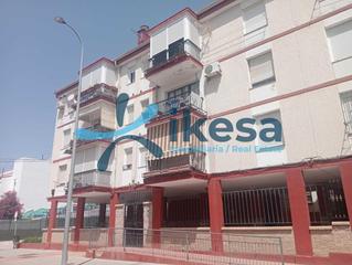 Pis a Arrayanes. Piso de 3 habitaciones